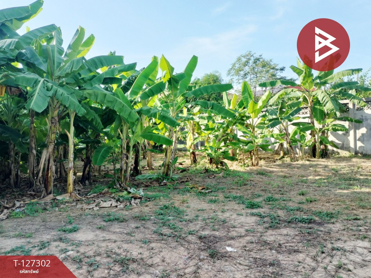 Land for sale, area 2 ngan, in Mueang Phitsanulok.