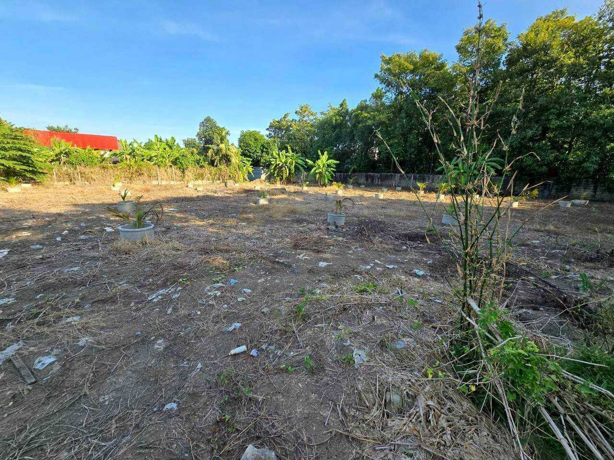 ขายที่ดินเปล่า ทำเลทอง เนื้อที่ 1 ไร่ 17 ตร.ว. ติดสถานีรถไฟฟ้าสายสีเหลือง – รูปที่ 3