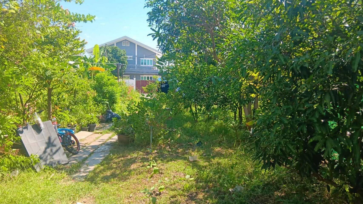 🏡 ขายที่ดินเปล่า “ทำเลทอง” อุดมสุข 26 แยก 2