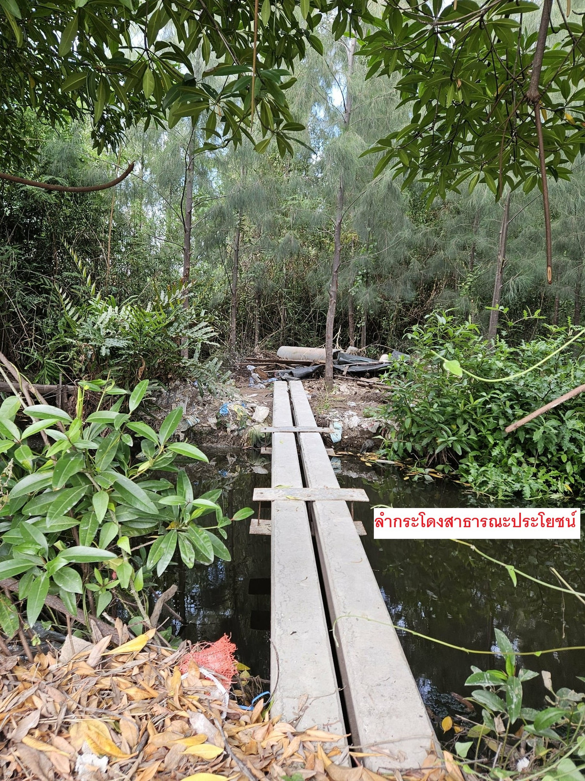 Land for sale in the centre of Mae Klong, Samut Songkhram - 250 m. from Makro and Wat Pom Kaew Temple  – รูปที่ 4