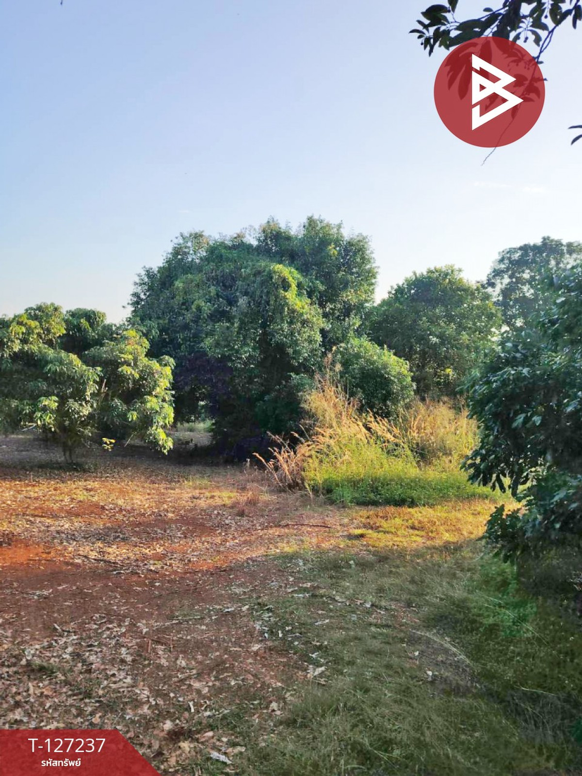 ขายที่ดิน เนื้อที่ 9 ไร่ 2 งาน 44 ตร.วา พร้าว เชียงใหม่ – รูปที่ 3