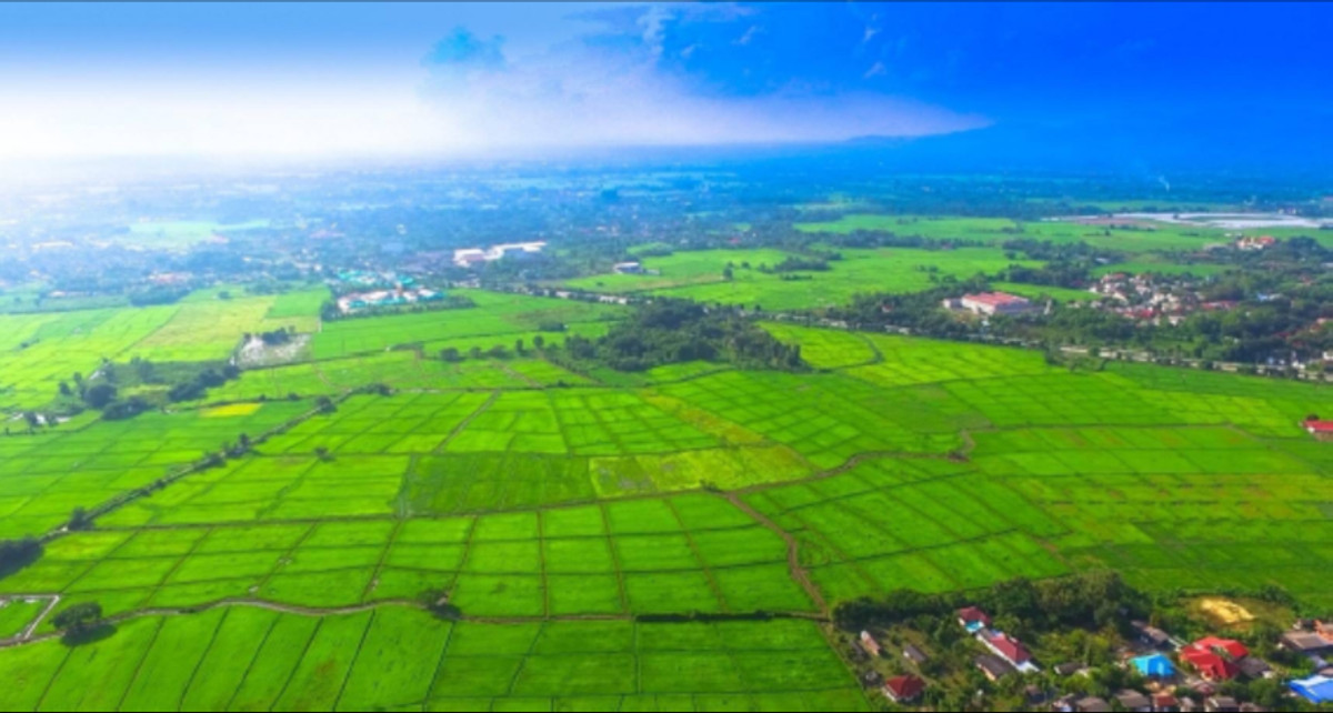 💎💎 Land, Doi Saket District, Chiang Mai Province, area approximately 650 rai 💎💎 650 – รูปที่ 3