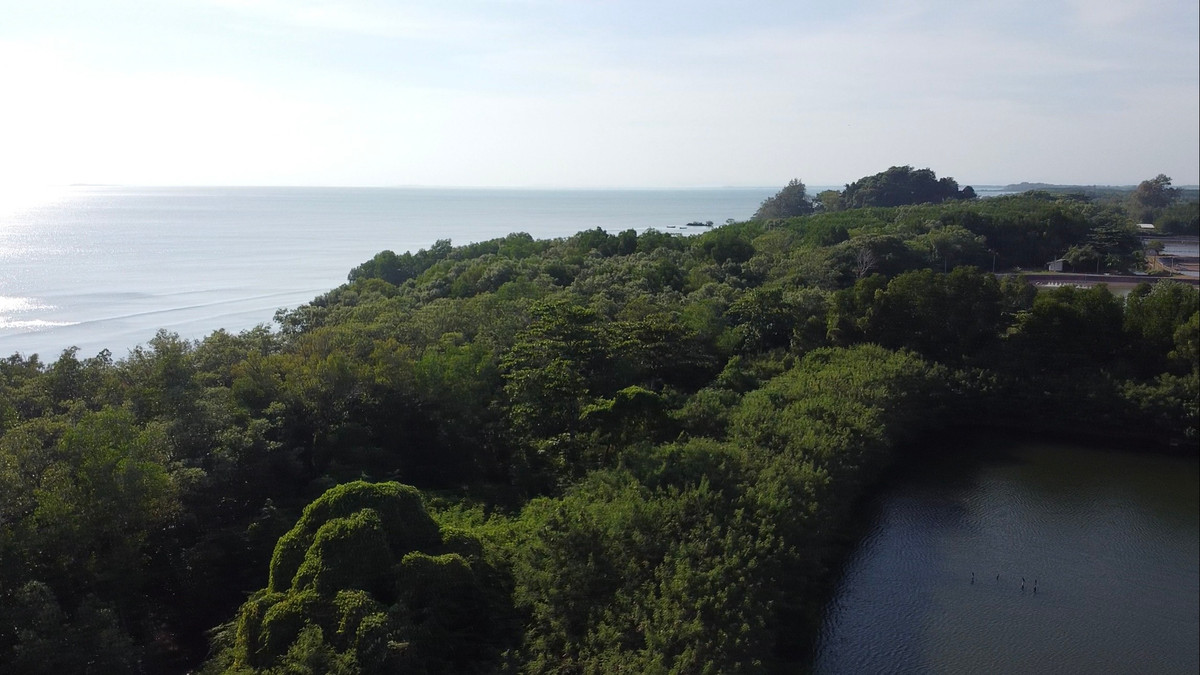 Large plot of land for sale, 148 rai, next to the main road, next to the sea, prime location! Chang Kham Subdistrict, Na Yai Am District, Chanthaburi Province ( sells it himself) – รูปที่ 3