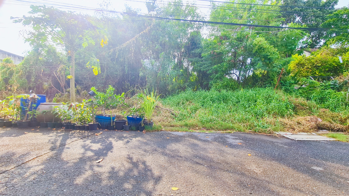 ขายที่ดิน 200 ตร.ว. พุทธมณฑลสาย1 ถนนบางพรม ตลิ่งชัน – รูปที่ 3