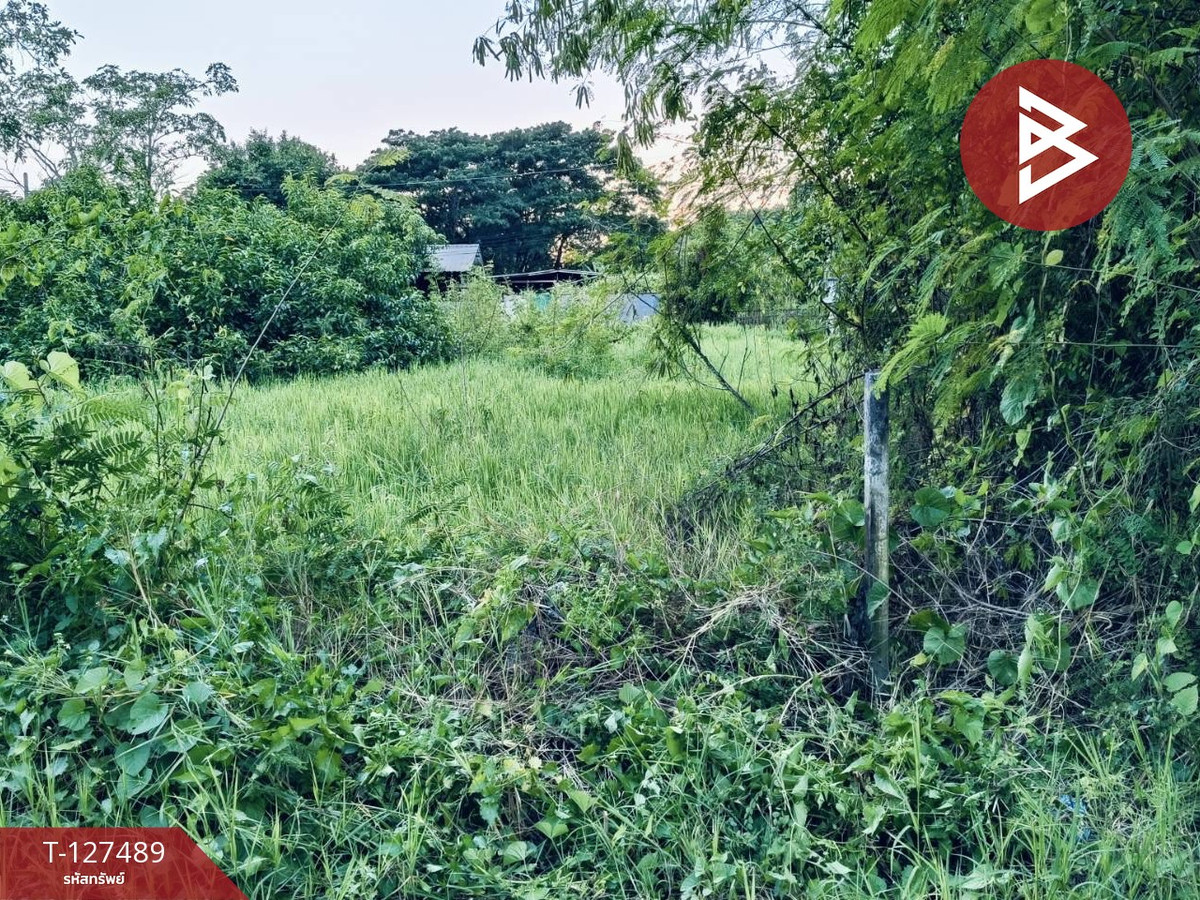 ขายที่ดิน เนื้อที่ 72.4 ตร.วา หางดง เชียงใหม่ – รูปที่ 4
