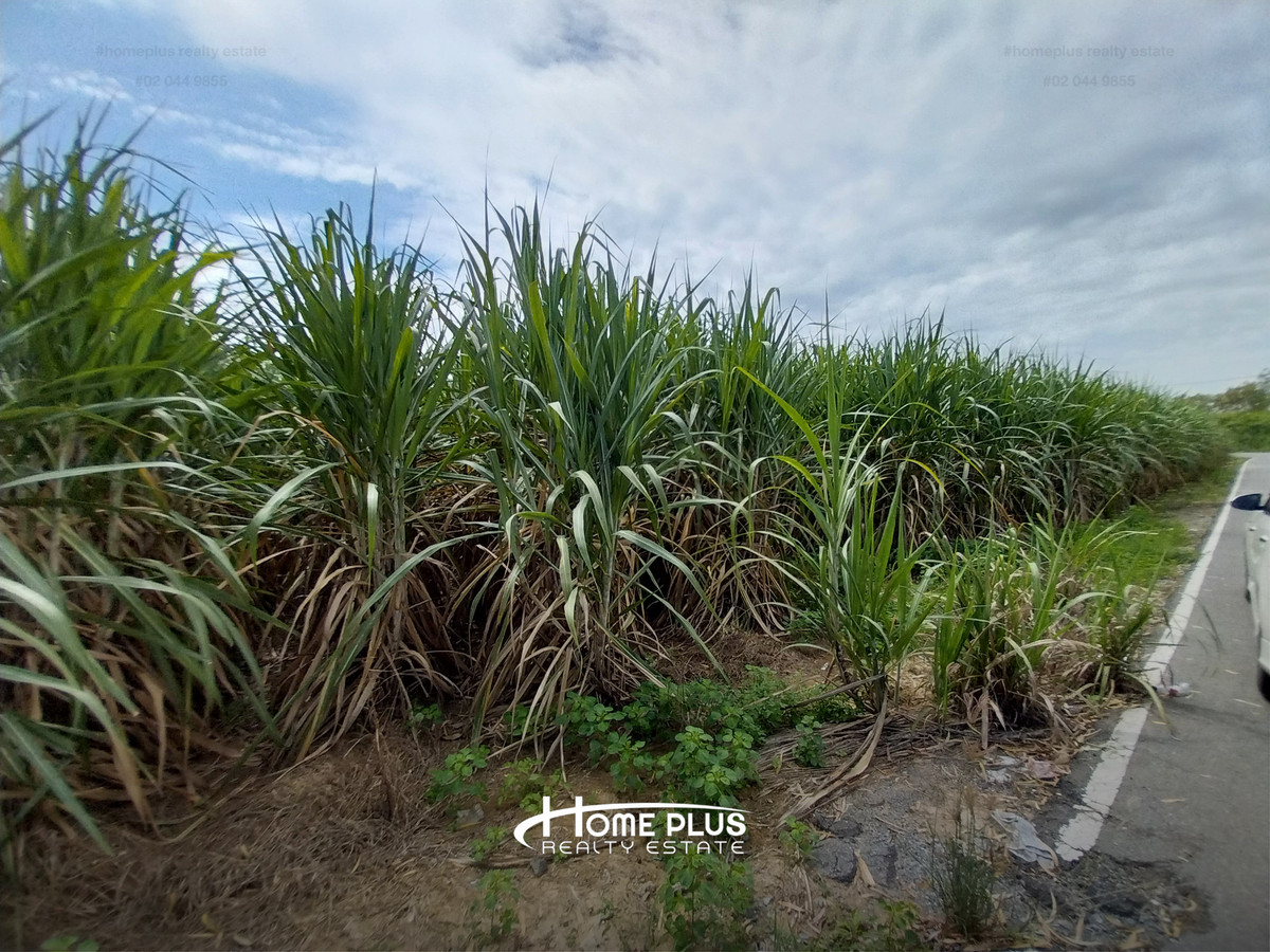 Large plot of land, good location Near Kamphaeng Saen Hospital, area 11 rai 1 ngan 29 square wah. – รูปที่ 2