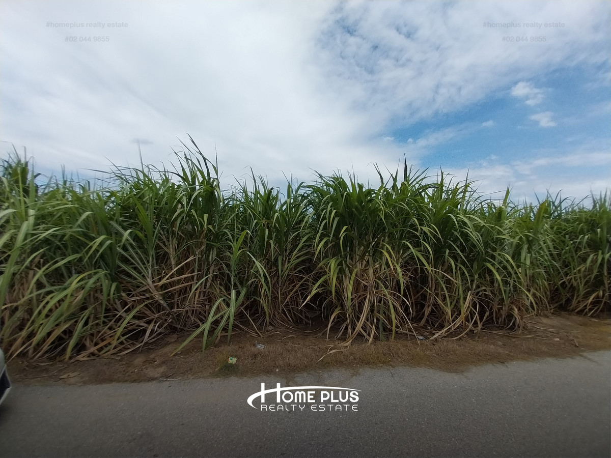 Large plot of land, good location Near Kamphaeng Saen Hospital, area 11 rai 1 ngan 29 square wah. – รูปที่ 3