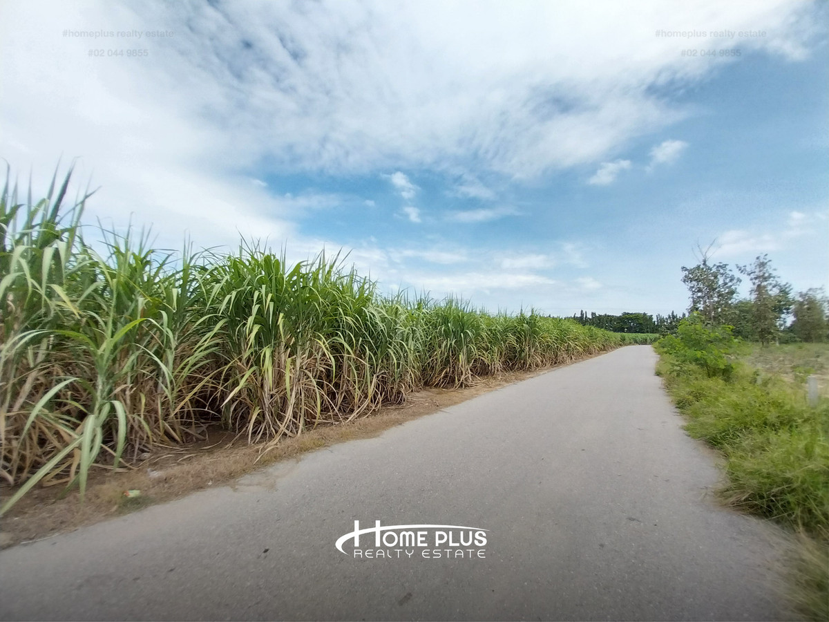 Large plot of land, good location Near Kamphaeng Saen Hospital, area 11 rai 1 ngan 29 square wah. – รูปที่ 4