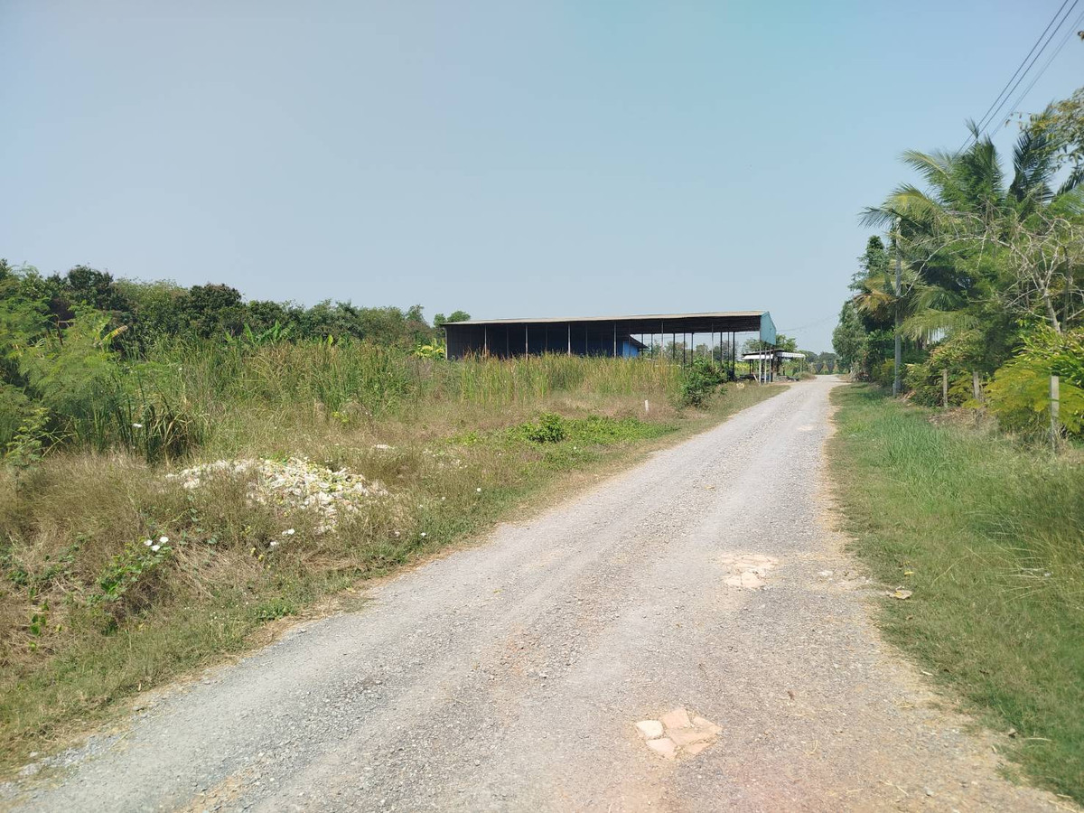 แบ่งขายที่ดิน 100 ตรว. หนองเพรางาย ใกล้ซอยคลองถนน บางบัวทอง นนทบุรี – รูปที่ 4