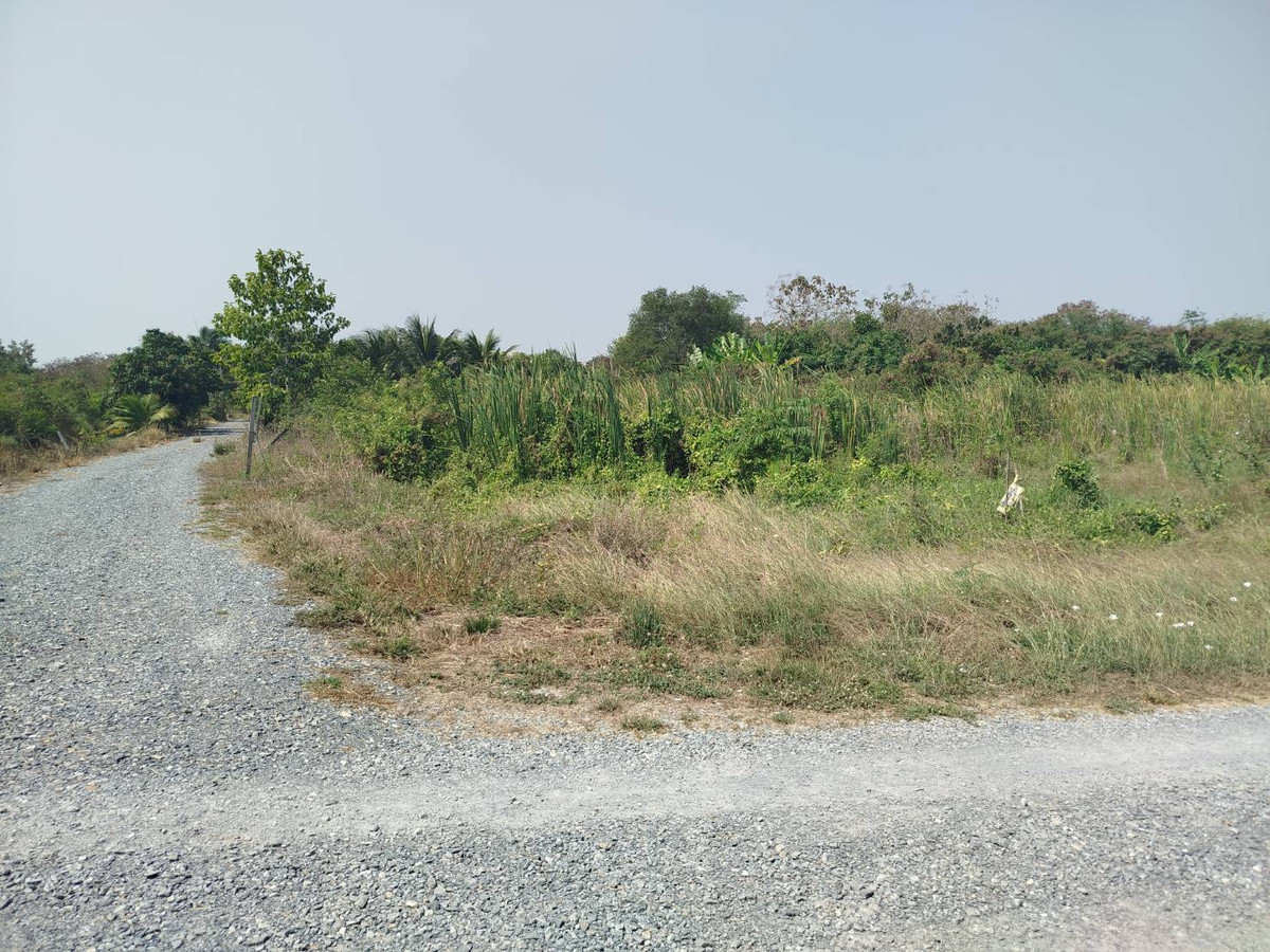 แบ่งขายที่ดิน 100 ตรว. หนองเพรางาย ใกล้ซอยคลองถนน บางบัวทอง นนทบุรี – รูปที่ 3