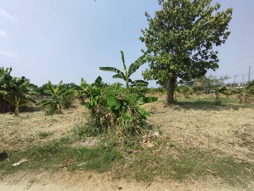 86647 - 1 plot of empty land for sale near the Chao Phraya River.