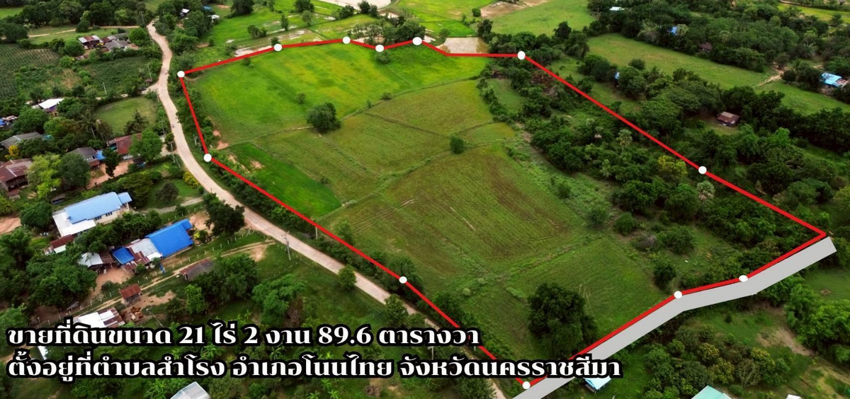 Land for Sale – Samrong Subdistrict, Non Thai District, Nakhon Ratchasima – 21 Rai 2 Ngan 89.6 Sq.wah – Accessible Road, Electricity & Water, Near Motorway – 350,000 THB per Rai – รูปที่ 2