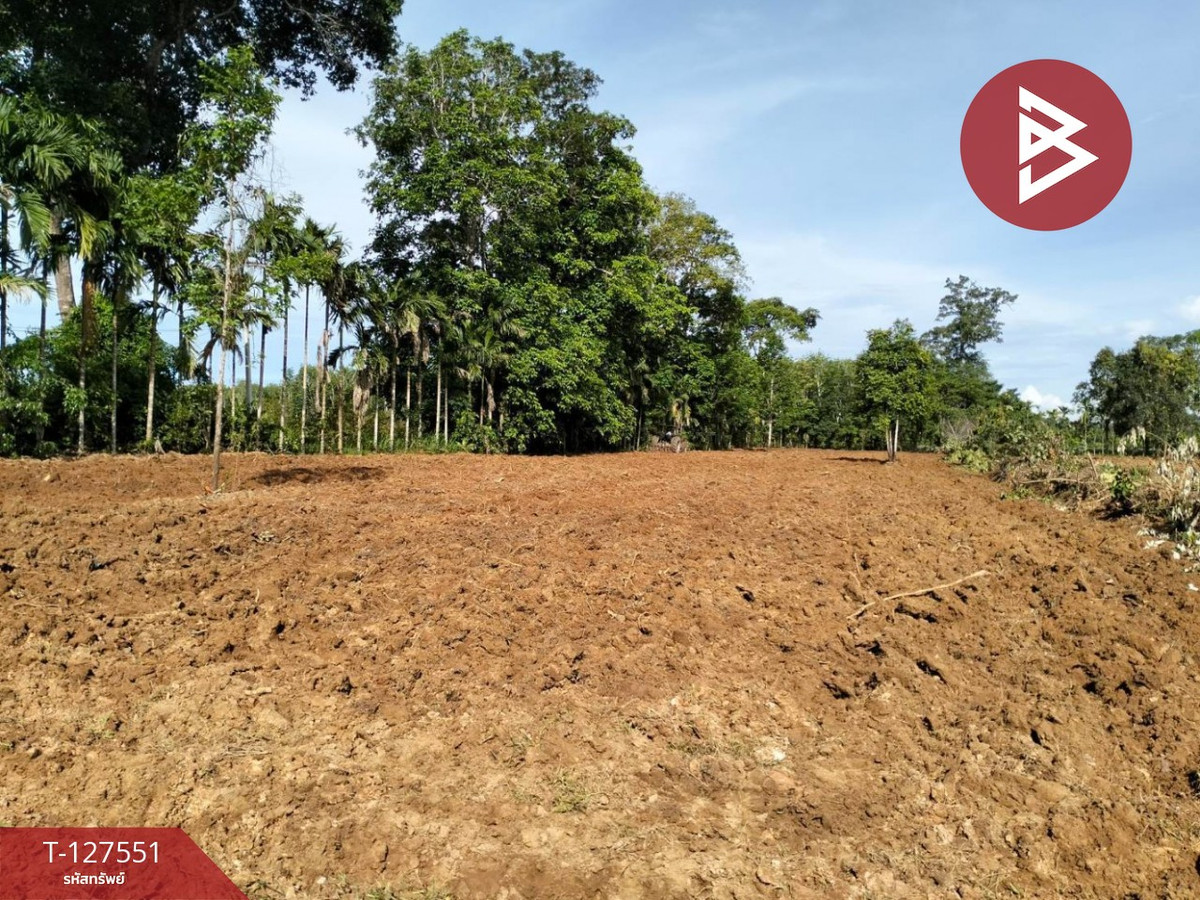 Land for sale, area 10 rai 96 sq m, Khao Saming, Trat – รูปที่ 3