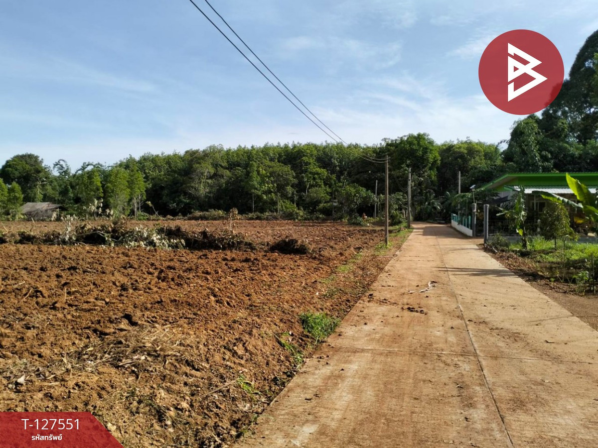 Land for sale, area 10 rai 96 sq m, Khao Saming, Trat – รูปที่ 2