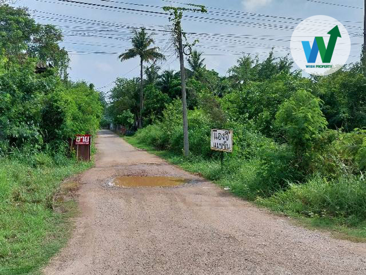 ขายที่ดินใกล้เส้นเลี่ยงเมืองขอนแก่น – รูปที่ 2