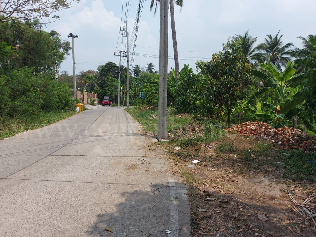 ที่ดินเปล่า 2 - 1 - 61 ไร่ ซอยบางรักใหญ่ 1 นนทบุรี ทำเลดี – รูปที่ 4