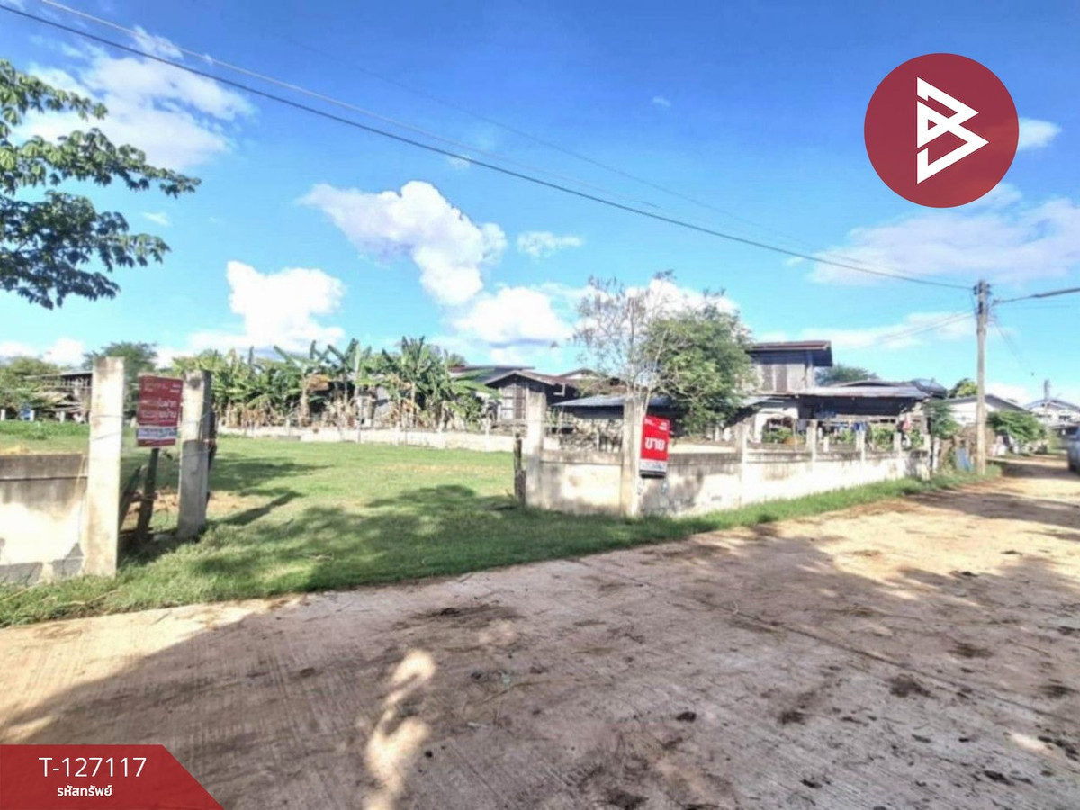 ขายที่ดิน เนื้อที่ 3 งาน 80 ตารางวา บ้านโนนเหลี่ยม อ.พยัคฆภูมิพิสัย มหาสารคาม – รูปที่ 4