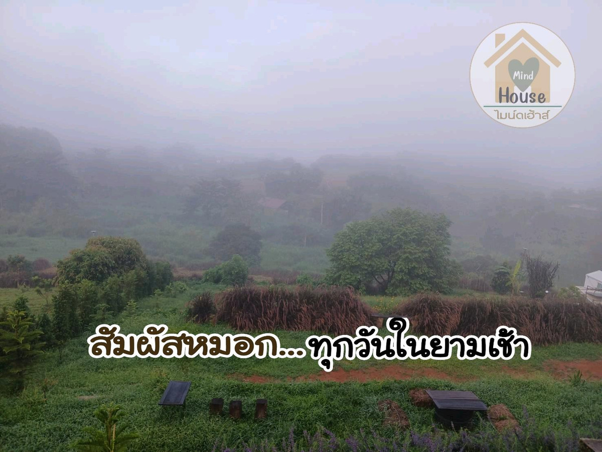 🏡Single house for sale...vacation Surrounded by the nature of the mountains @ Khao Kho Phetchabun – รูปที่ 4
