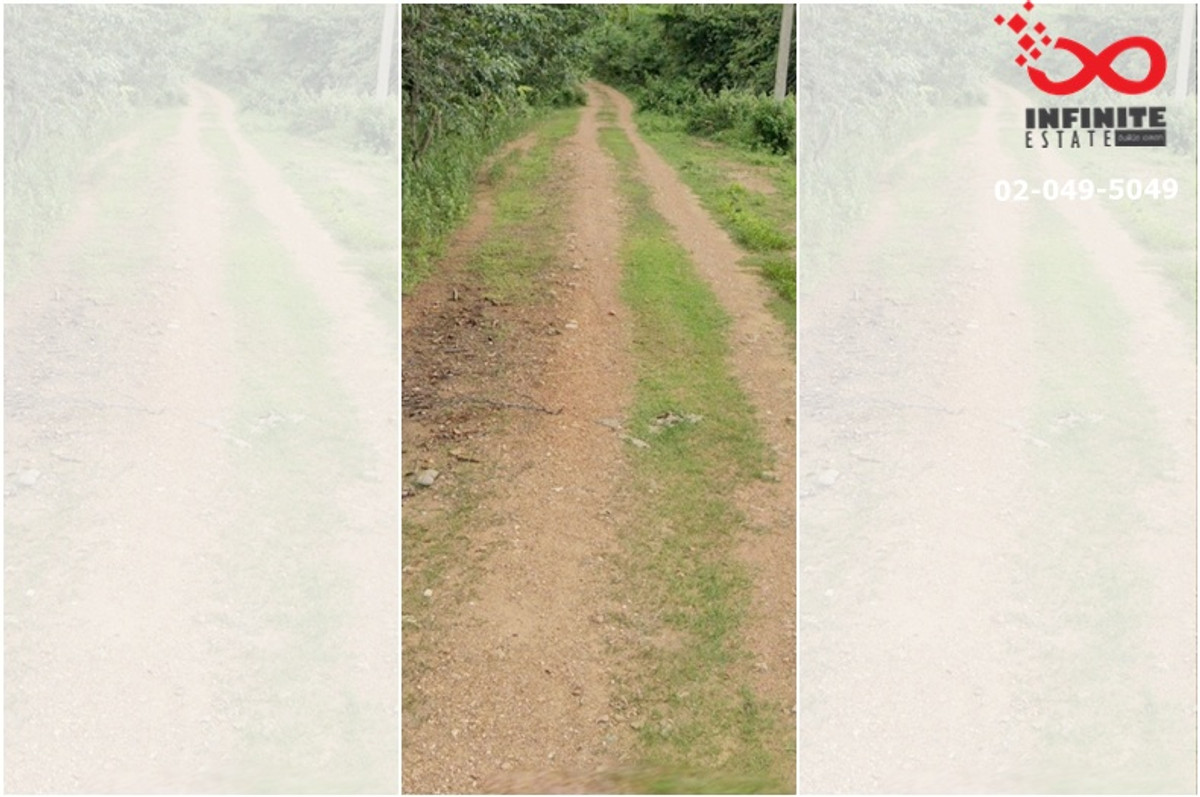 ขายที่ดิน 2ไร่ 48ตรว.แก่งกระจาน เพชรบุรี โฉนดครุฑแดง  – รูปที่ 2