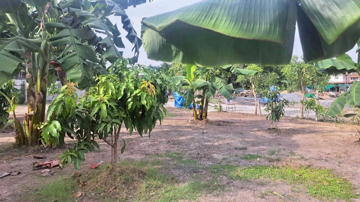 Empty land for sale, beautiful plot, already filled, near the Red Skytrain station, Rangsit Station, Bang Phun Subdistrict, Mueang Pathum Thani District, Pathum Thani Province. – รูปที่ 4