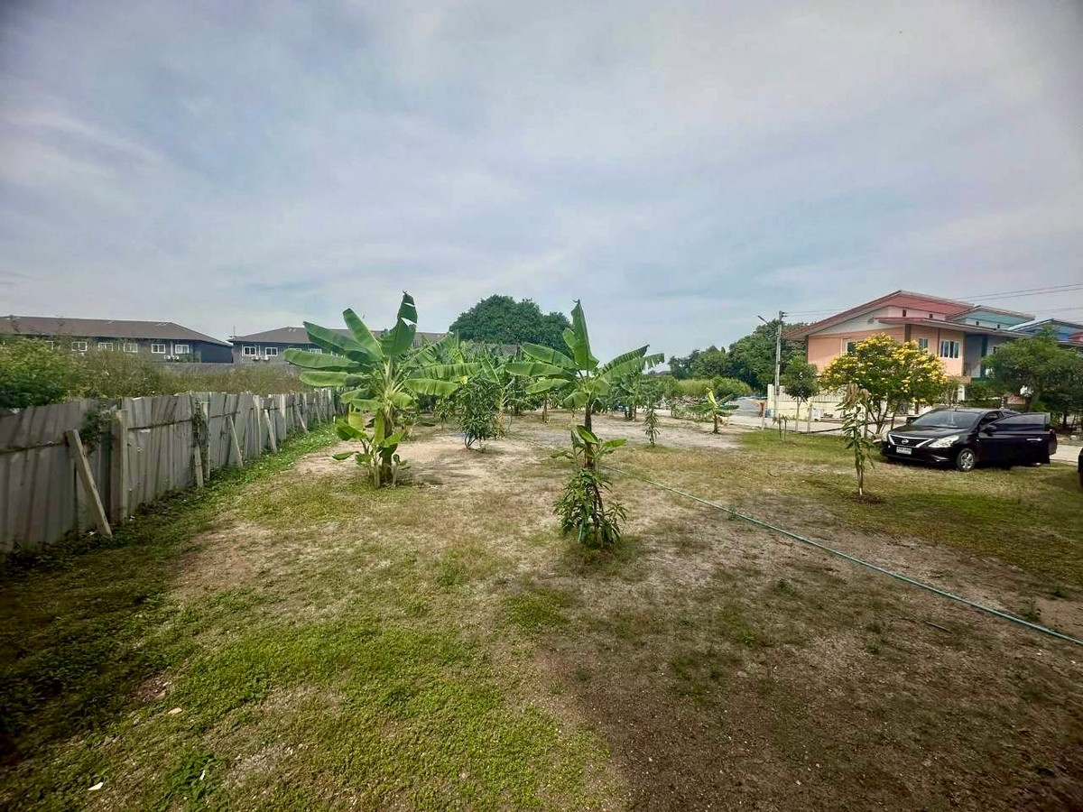 Empty land for sale, beautiful plot, already filled, near the Red Skytrain station, Rangsit Station, Bang Phun Subdistrict, Mueang Pathum Thani District, Pathum Thani Province. Empty land for sale, beautiful plot, already filled, near the Red Skytrain station, Rangsit Station, Bang Phun Subdistrict, Mueang Pathum Thani District, Pathum Thani Province.