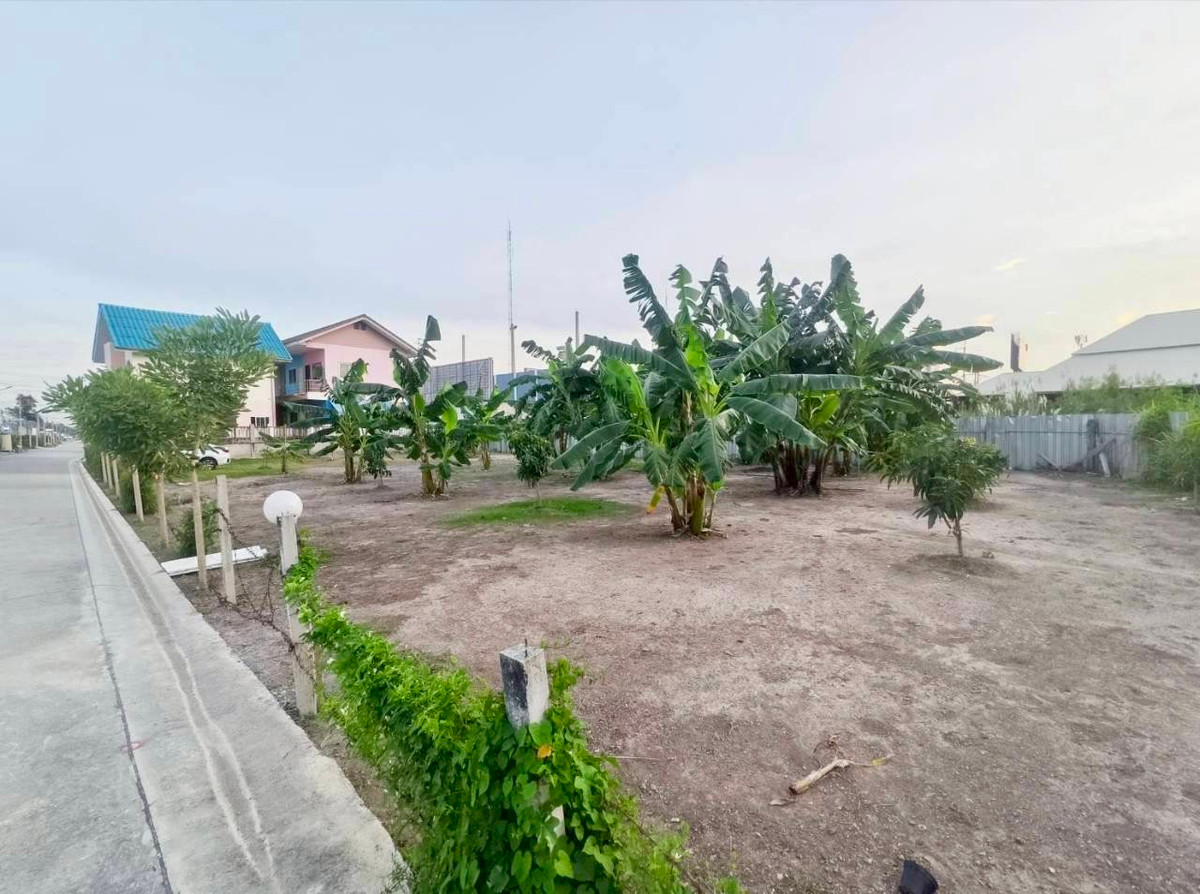 Empty land for sale, beautiful plot, already filled, near the Red Skytrain station, Rangsit Station, Bang Phun Subdistrict, Mueang Pathum Thani District, Pathum Thani Province. – รูปที่ 3
