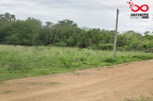 Land for sale, 2 rai 48 sq m, Kaeng Krachan, Phetchaburi, Red Garuda title deed.
