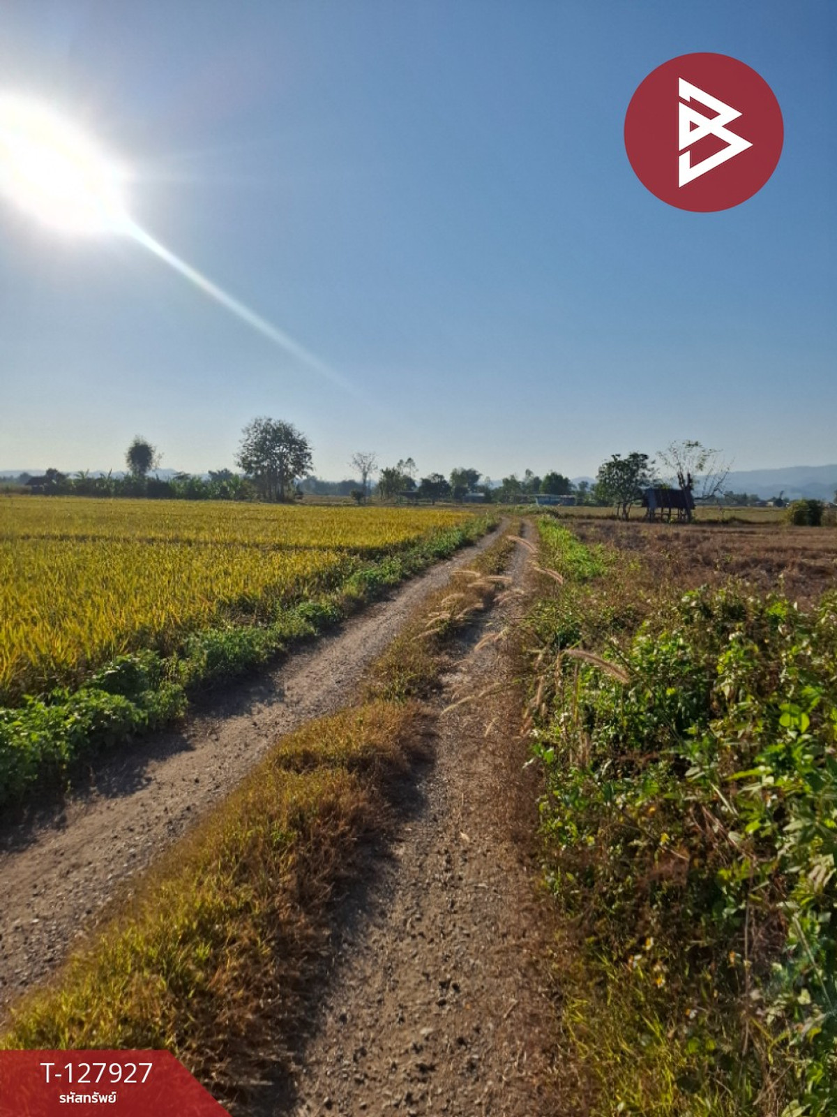 Land for sale, area 9 rai 1 ngan 73 sq m, Thoeng, Chiang Rai. – รูปที่ 4