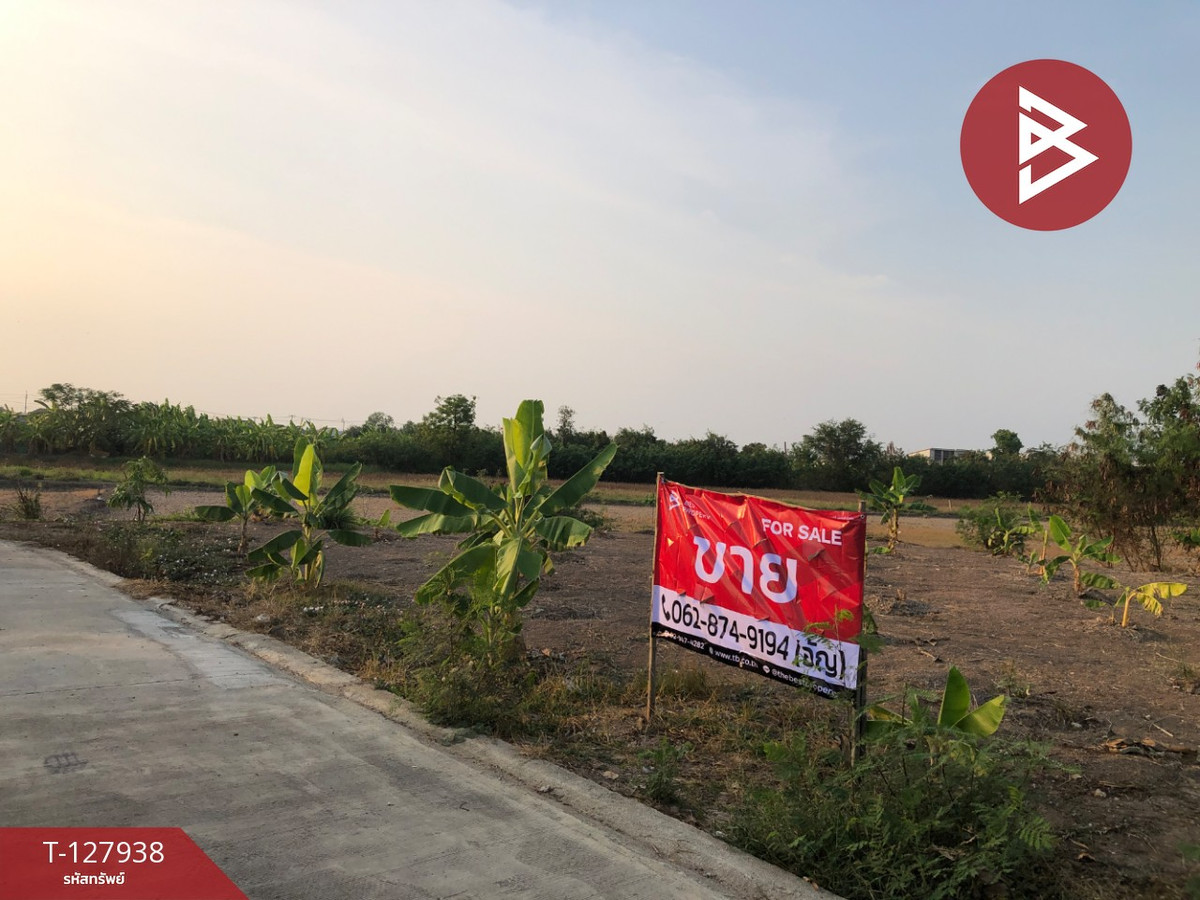 ขายด่วนที่ดินแปลงสวย เนื้อที่ 116.8 ตารางวา ซอยพิมลราช บางบัวทอง นนทบุรี – รูปที่ 4