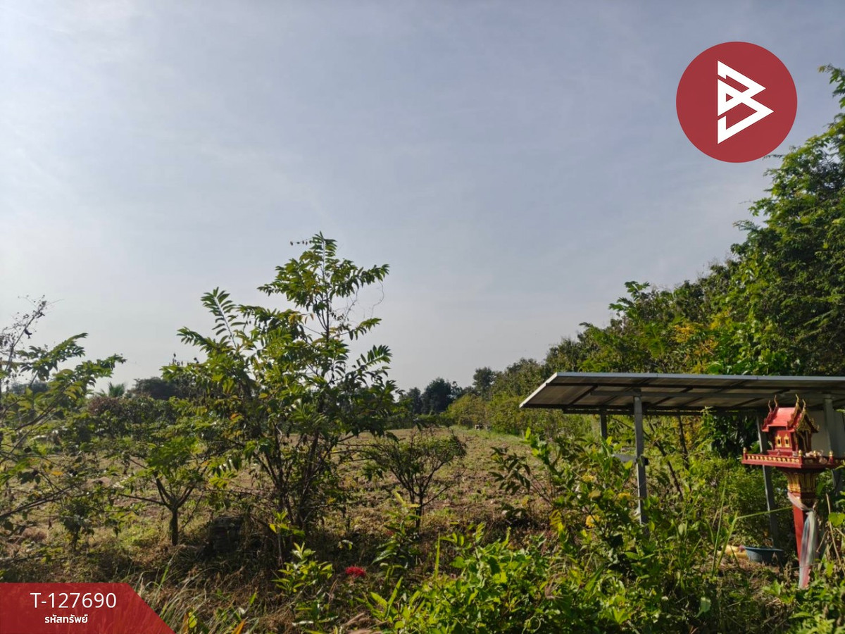 Land for sale with garden, area 30 rai 3 ngan 86 sq m, Lom Sak, Phetchabun. – รูปที่ 2