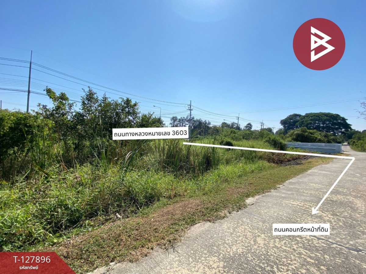 ขายที่ดินสวนผลไม้ เนื้อที่ 2 งาน อ.ท่าเรือ พระนครศรีอยุธยา – รูปที่ 3