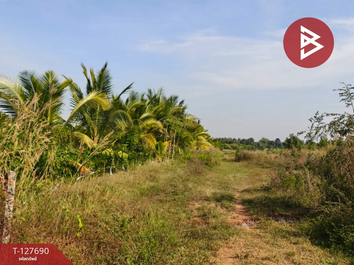 Land for sale with garden, area 30 rai 3 ngan 86 sq m, Lom Sak, Phetchabun. – รูปที่ 4