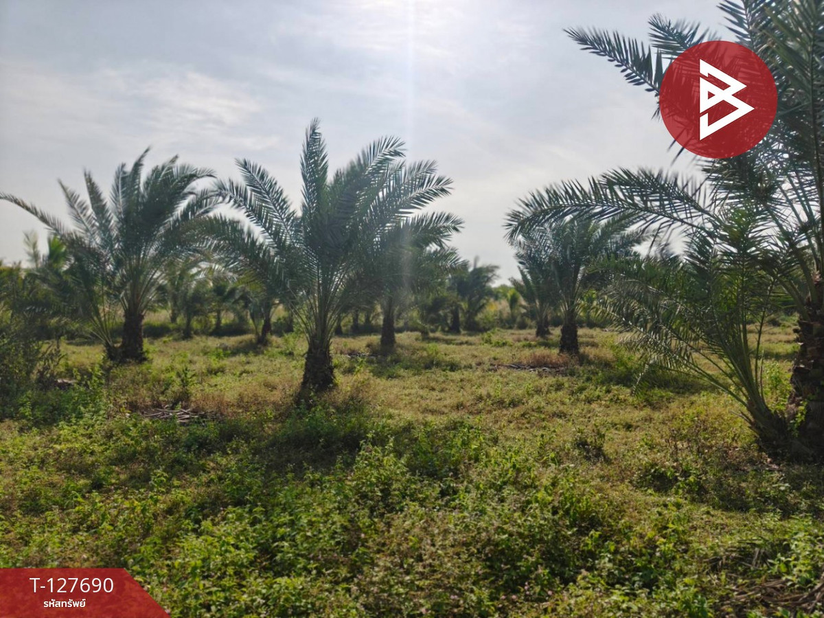 Land for sale with garden, area 30 rai 3 ngan 86 sq m, Lom Sak, Phetchabun. – รูปที่ 3