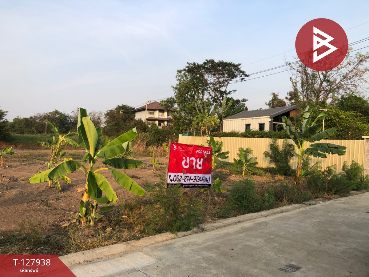 ขายด่วนที่ดินแปลงสวย เนื้อที่ 116.8 ตารางวา ซอยพิมลราช บางบัวทอง นนทบุรี – รูปที่ 3