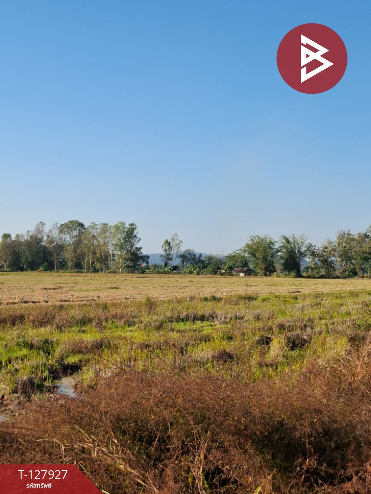 Land for sale, area 9 rai 1 ngan 73 sq m, Thoeng, Chiang Rai. – รูปที่ 2