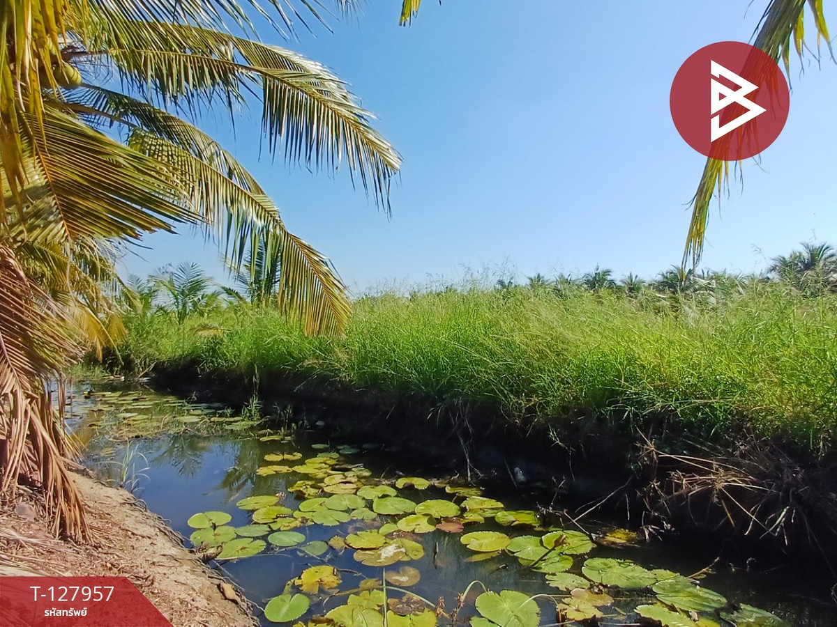 Land for sale, area 8 rai 2 ngan 60.4 sq m, Amphawa, Samut Songkhram. – รูปที่ 4
