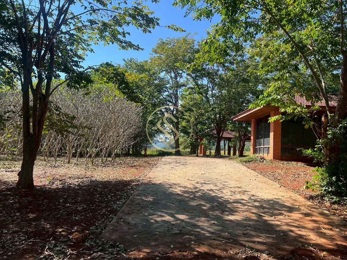 Single house for rent, shady atmosphere, Khao Yai, Moo Si Subdistrict, good location, can do business and open a cafe. Near Thanarat Road Total usable area 400 square meters.