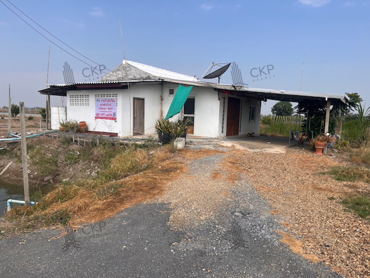 Land with house near Kasetsart University, Kamphaeng Saen, near Lotus Kamphaeng Saen, not far from Nakhon Pathom city. Land with house near Kasetsart University, Kamphaeng Saen, near Lotus Kamphaeng Saen, not far from Nakhon Pathom city.