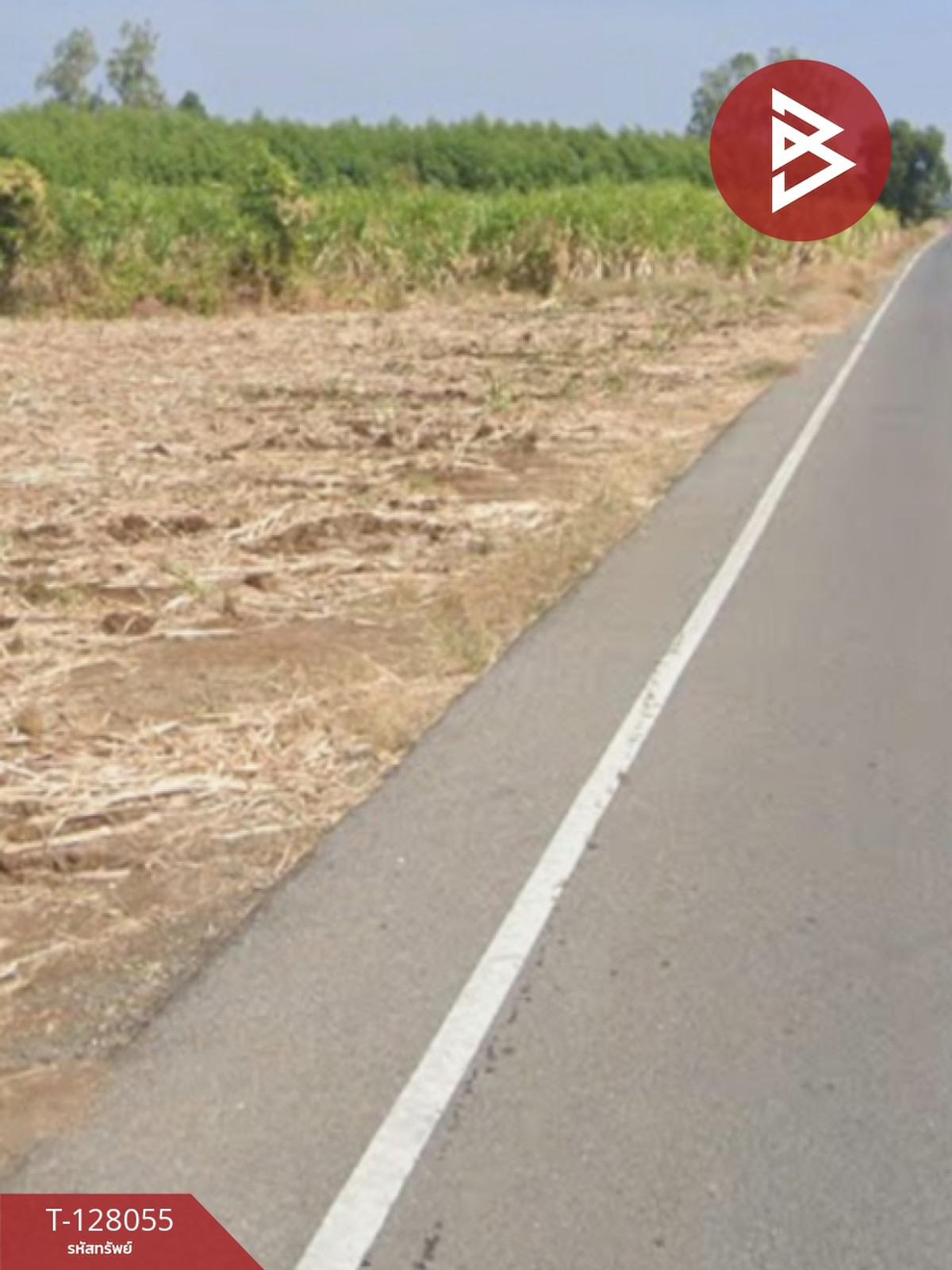 Land for sale, area 4 rai 3 ngan 96 sq m, Aranyaprathet, Sa Kaeo – รูปที่ 3