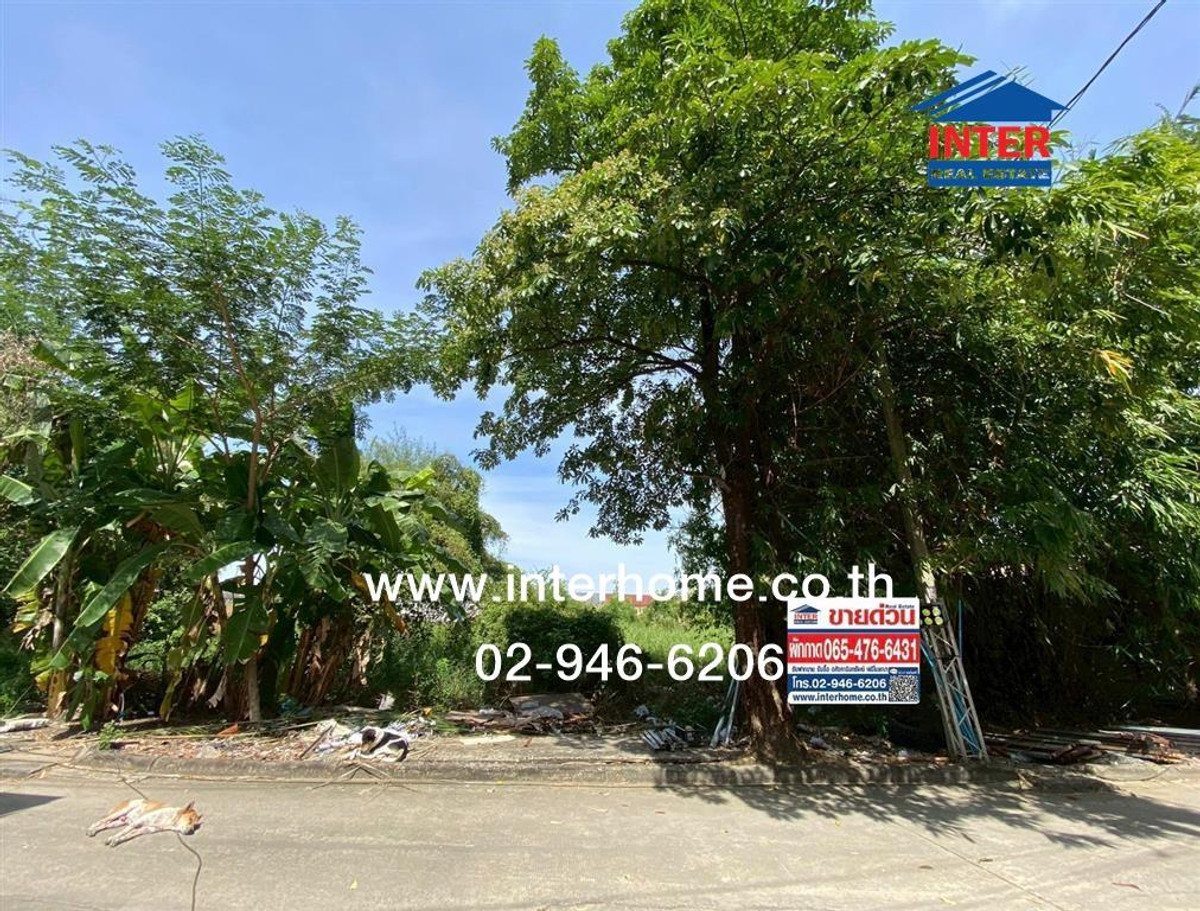 Empty land 152.5 sq m. Land, Soi Ramintra 117, Ramintra Road, Charoen Phatthana Road, Khlong Sam Wa District, Bangkok