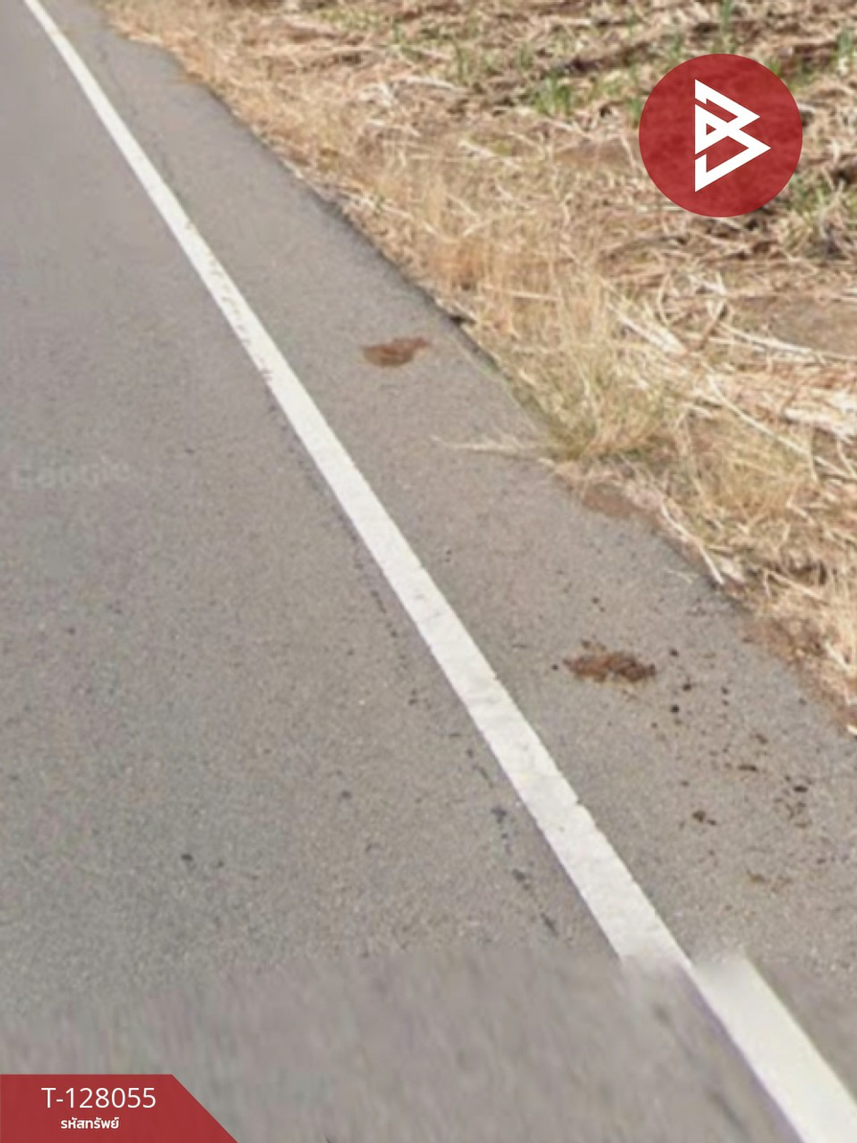 Land for sale, area 4 rai 3 ngan 96 sq m, Aranyaprathet, Sa Kaeo – รูปที่ 2