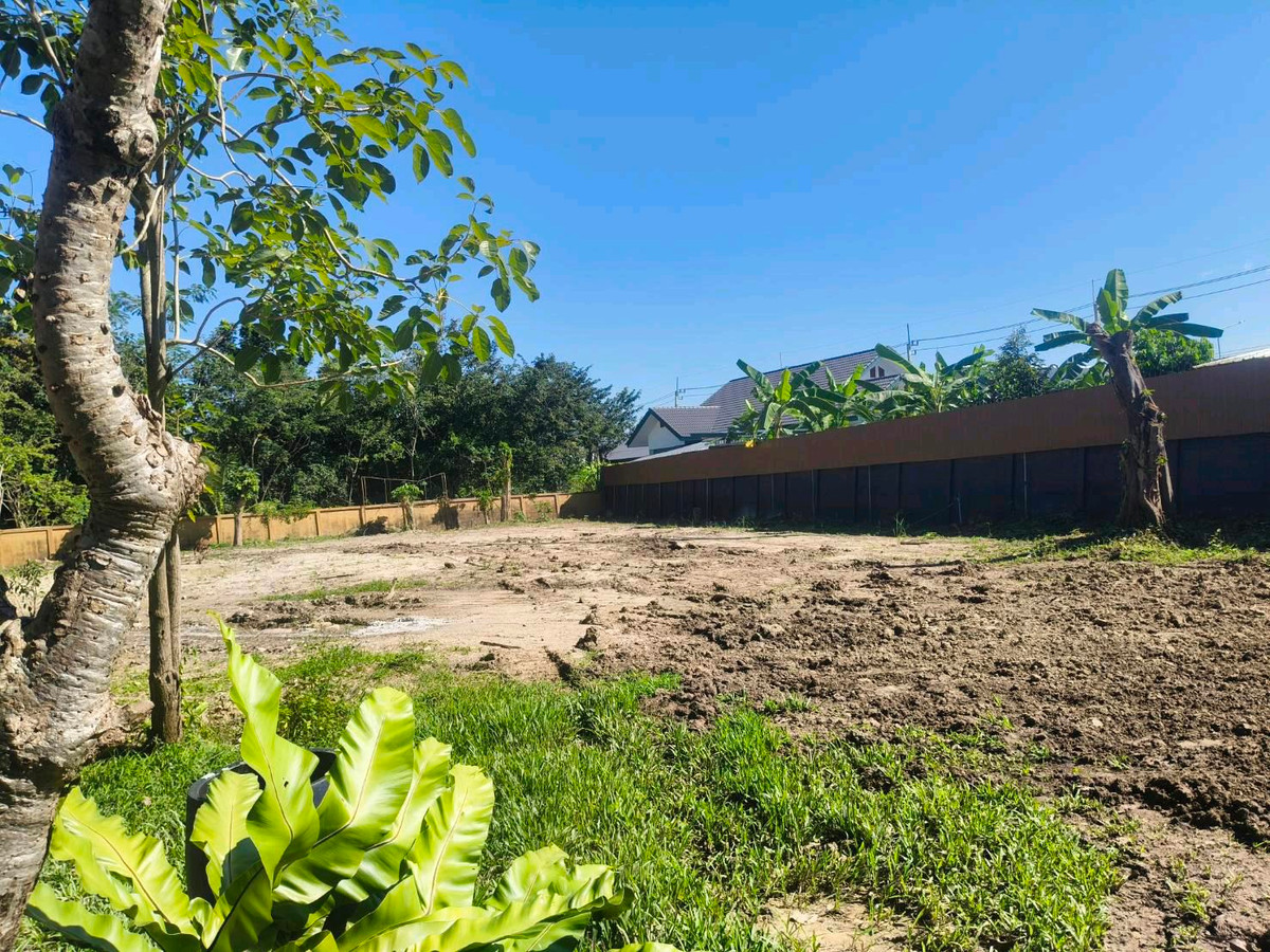 3 houses with a large swimming pool and land size of 2 rai 3 ngan. – รูปที่ 4