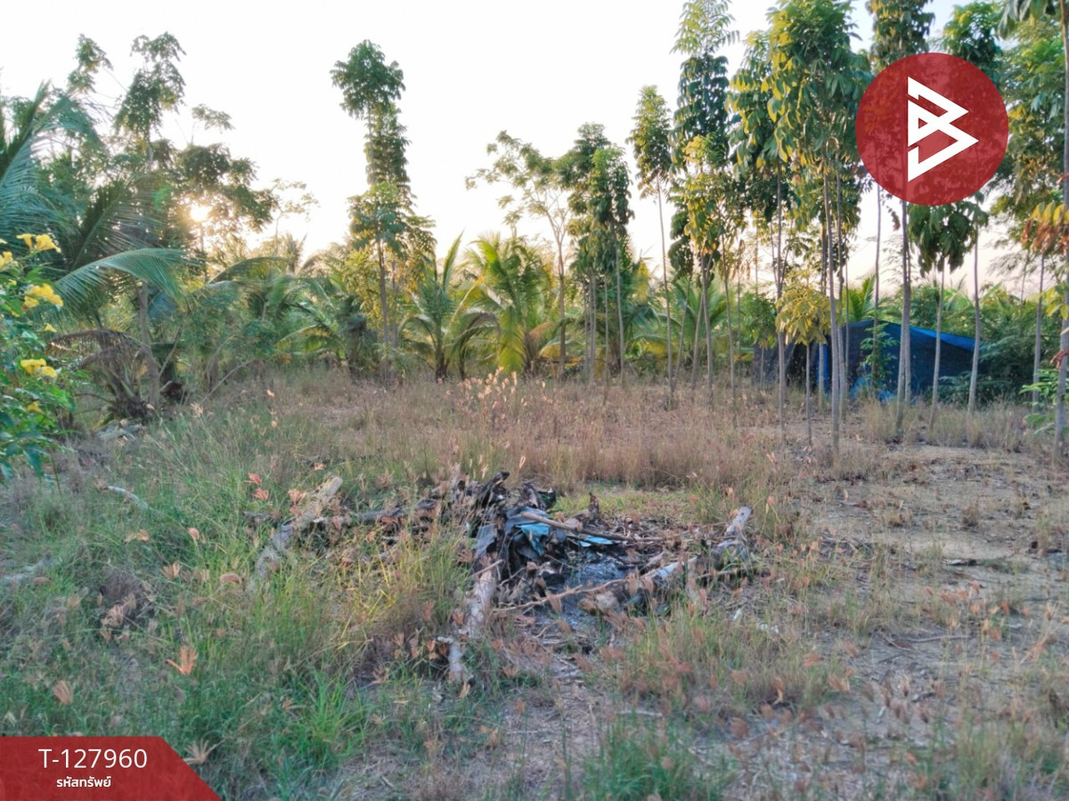 Land for sale, area 2 rai 83.4 sq m, Sam Phran, Nakhon Pathom. – รูปที่ 2
