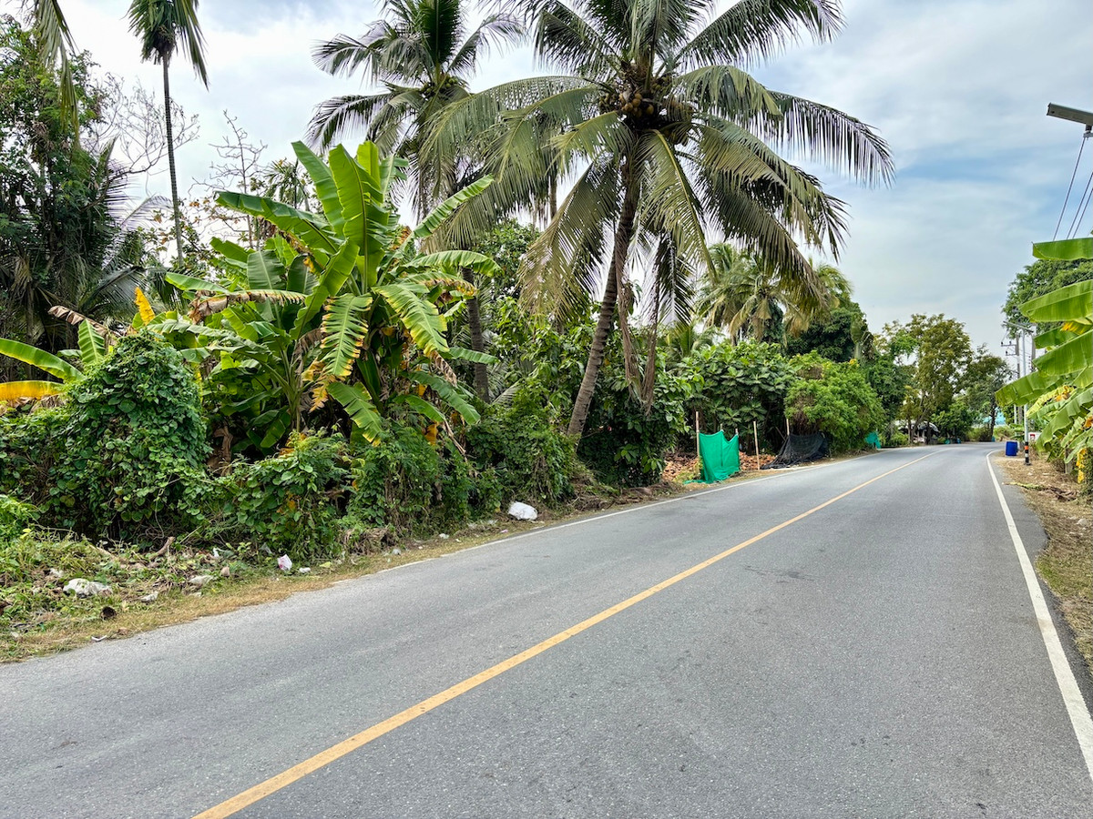  ที่ดิน 3 ไร่ ใกล้วัดหอมเกร็ด หน้าติดถนนลาดยาง แปลงสวย เข้าจากถนนบรมราชชนนี 1 กิโลเมตร – รูปที่ 4