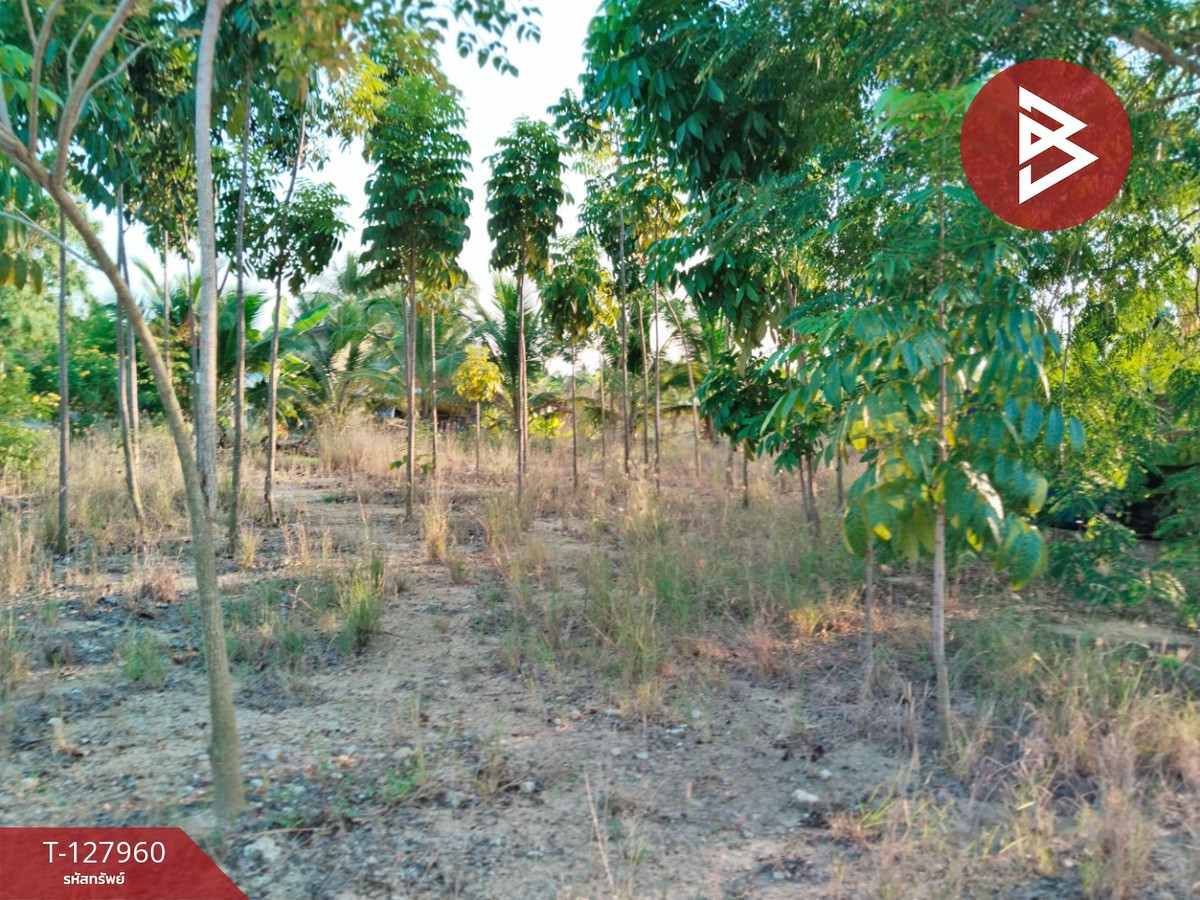 Land for sale, area 2 rai 83.4 sq m, Sam Phran, Nakhon Pathom. – รูปที่ 4