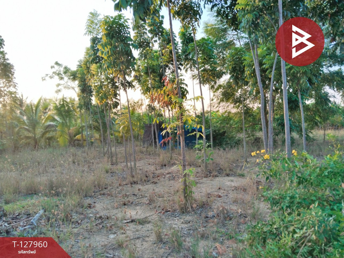 Land for sale, area 2 rai 83.4 sq m, Sam Phran, Nakhon Pathom. – รูปที่ 3