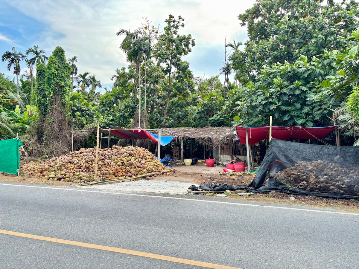  ที่ดิน 3 ไร่ ใกล้วัดหอมเกร็ด หน้าติดถนนลาดยาง แปลงสวย เข้าจากถนนบรมราชชนนี 1 กิโลเมตร – รูปที่ 3