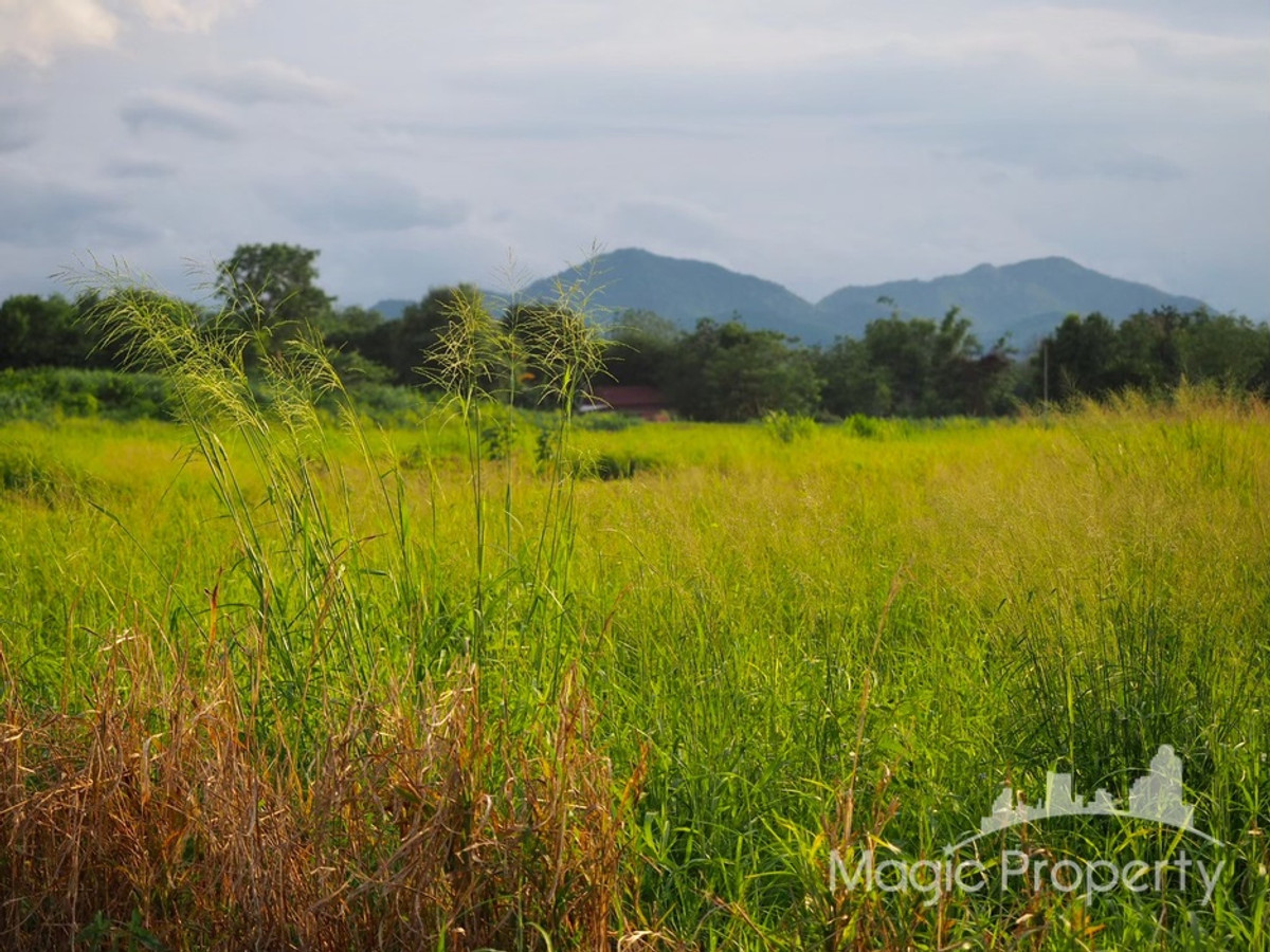 ขายที่ดิน เขาใหญ่ ตำบลขนงพระ อำเภอปากช่อง จังหวัดนครราชสีมา – รูปที่ 2