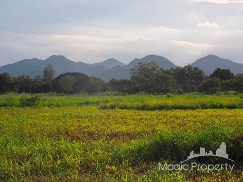 ขายที่ดิน เขาใหญ่ ตำบลขนงพระ อำเภอปากช่อง จังหวัดนครราชสีมา