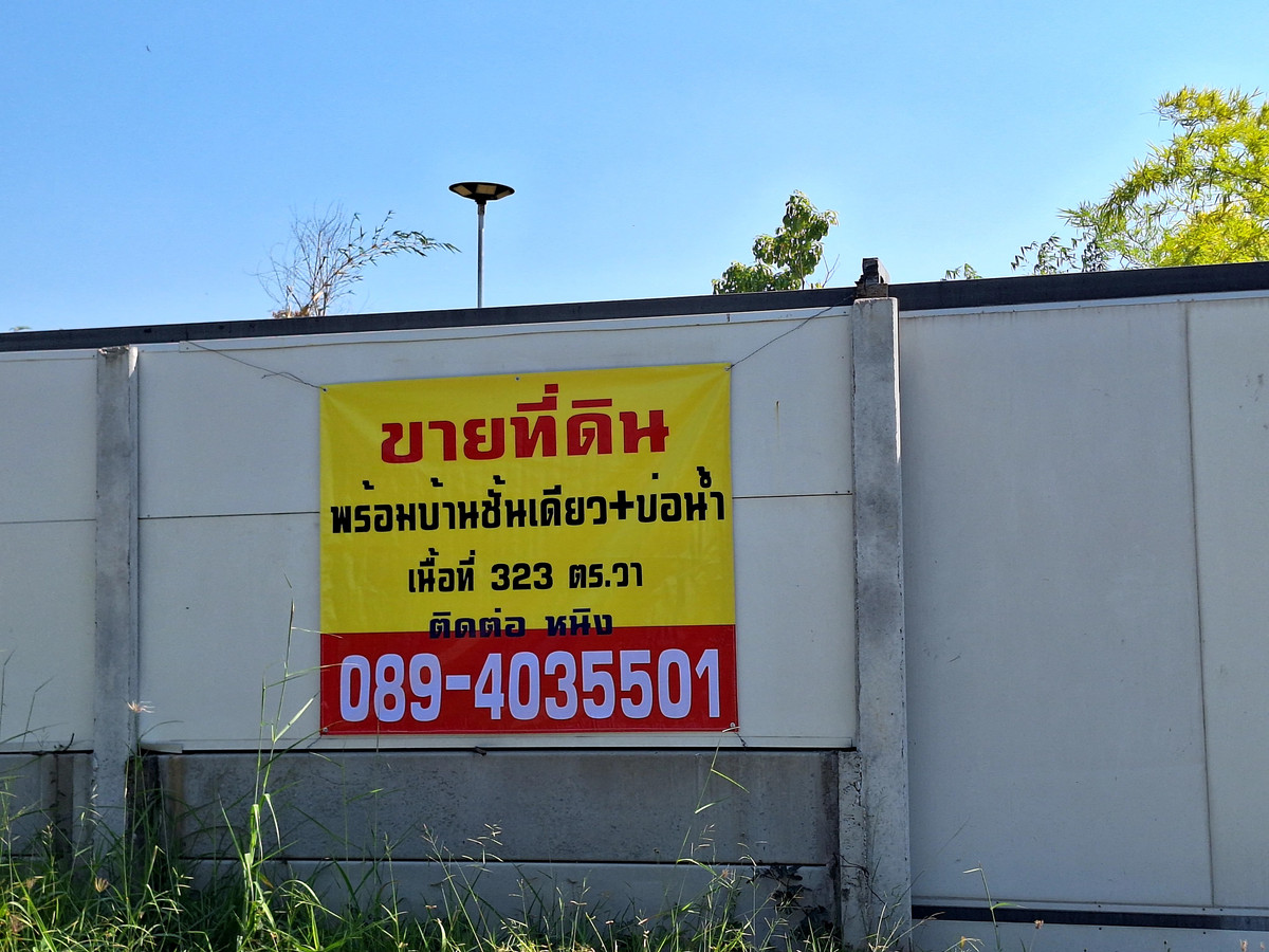 ขายบ้านสวน ต.ชัยมงคล ร่มรืน เงียบสงบ ขนาด 323 ตร.วา ขายบ้านสวน ต.ชัยมงคล ร่มรืน เงียบสงบ ขนาด 323 ตร.วา